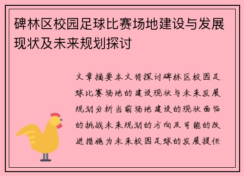 碑林区校园足球比赛场地建设与发展现状及未来规划探讨