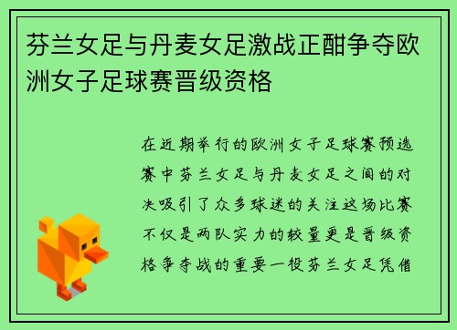 芬兰女足与丹麦女足激战正酣争夺欧洲女子足球赛晋级资格